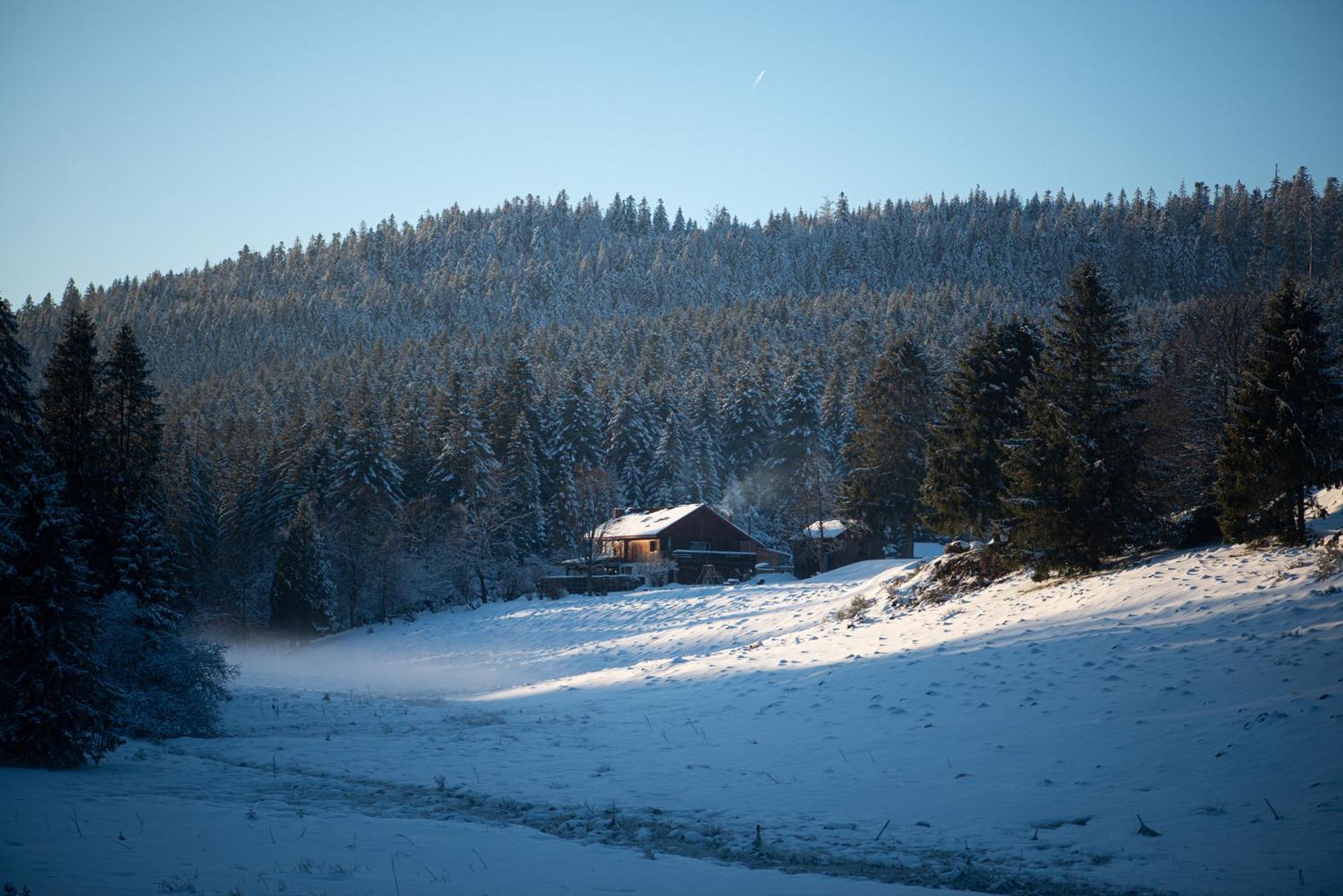 Gite La Ramee Ban-sur-Meurthe-Clefcy Екстер'єр фото