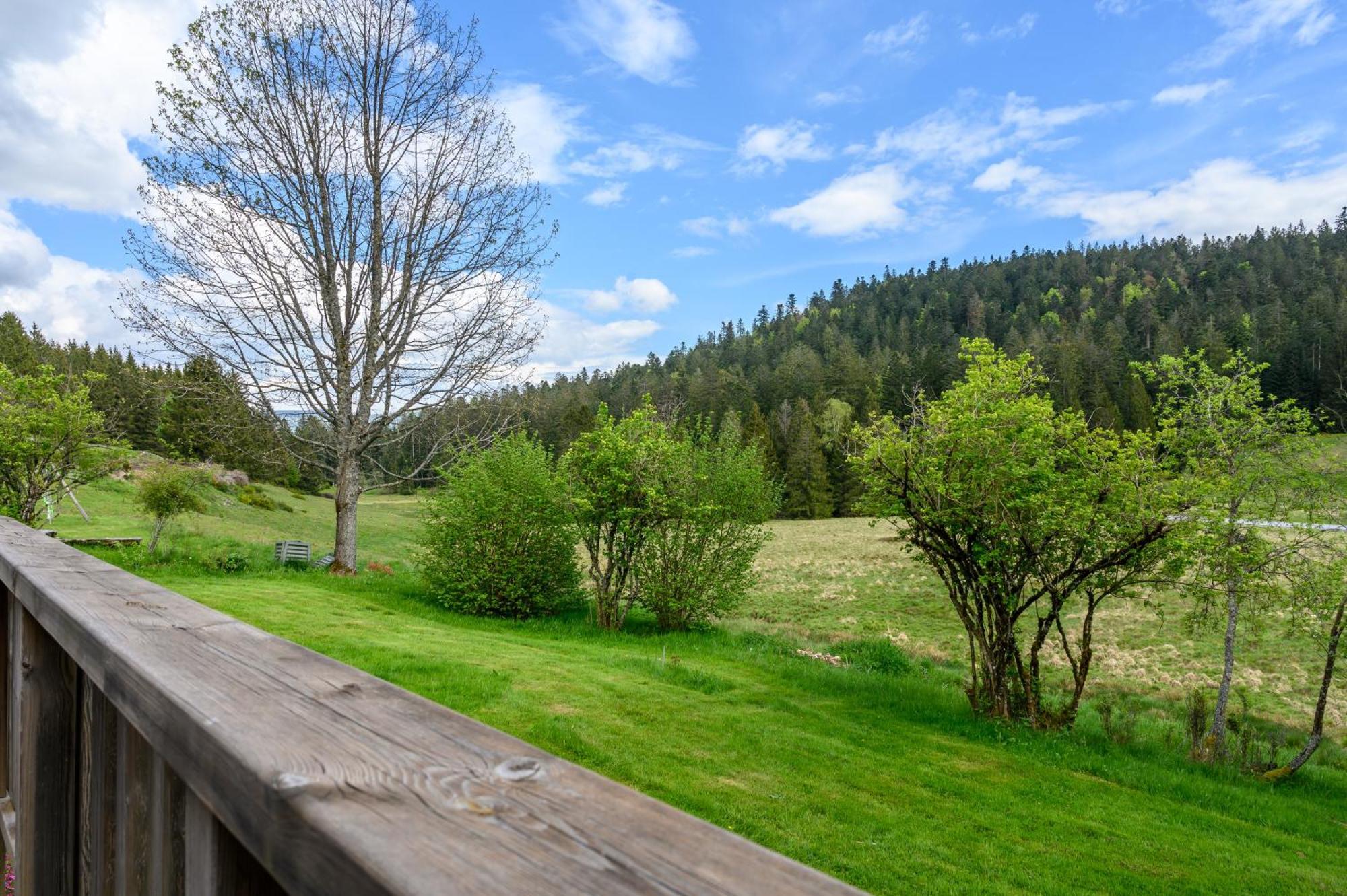 Gite La Ramee Ban-sur-Meurthe-Clefcy Екстер'єр фото